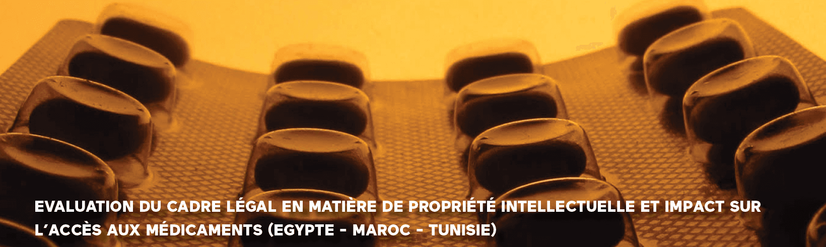 ITPC-MENA at the Mediterranean Symposium on HIV and Hepatitis (AFRAMED 2017)